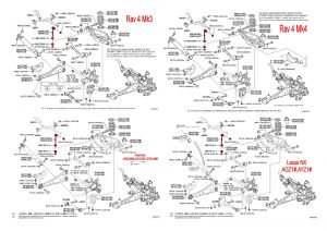 RoadNutz Poly Rear Uprated Drop Links for Lexus NX200t / NX300h 2014-Onwards #6
